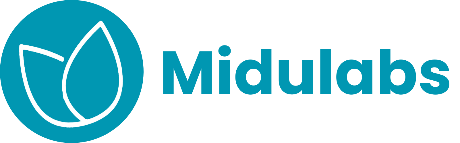 Midulabs